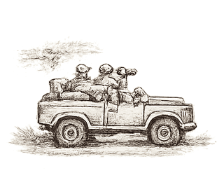Private Vehicle & Guide