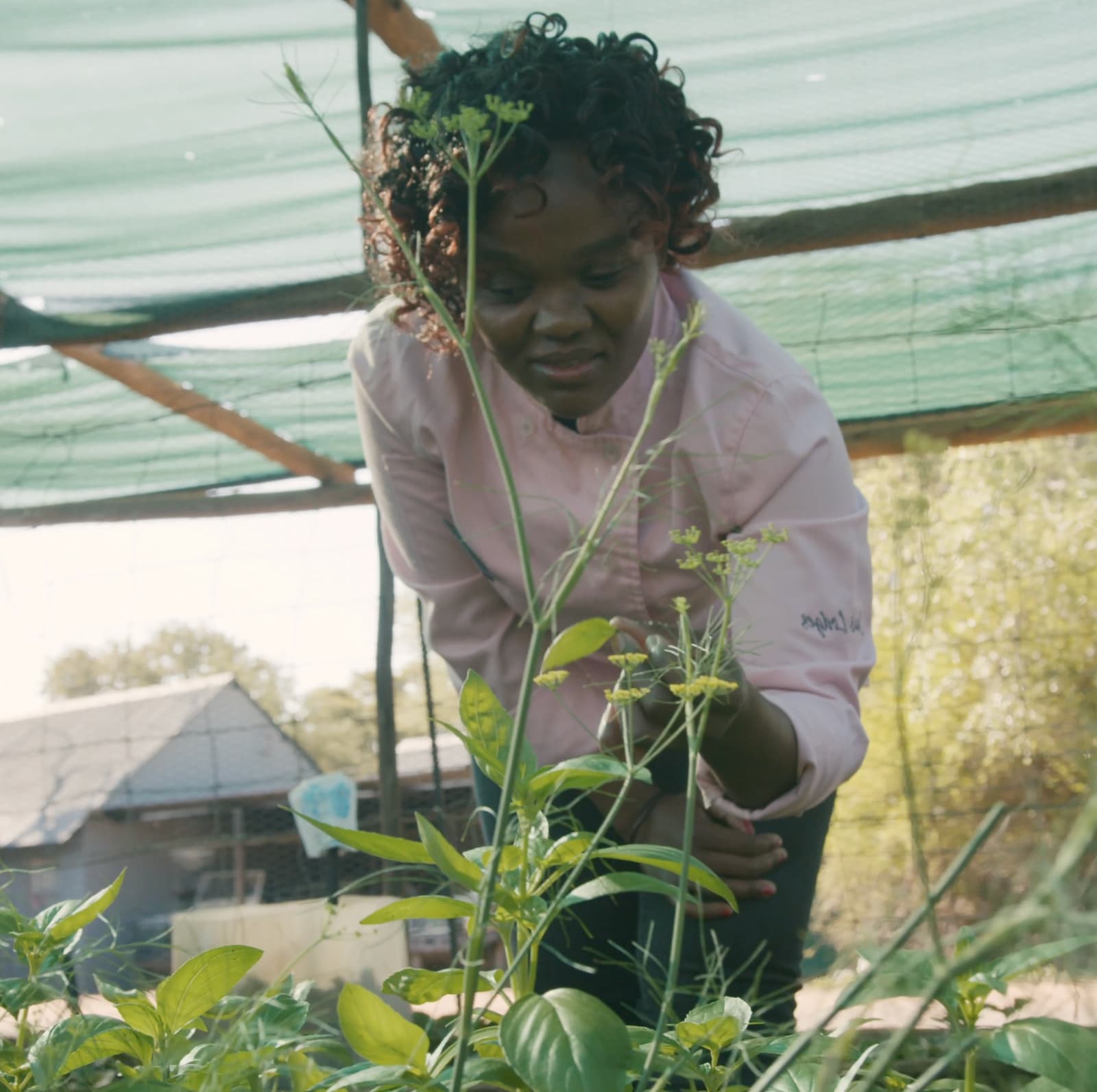 Locally Sourced and Sustainably Grown