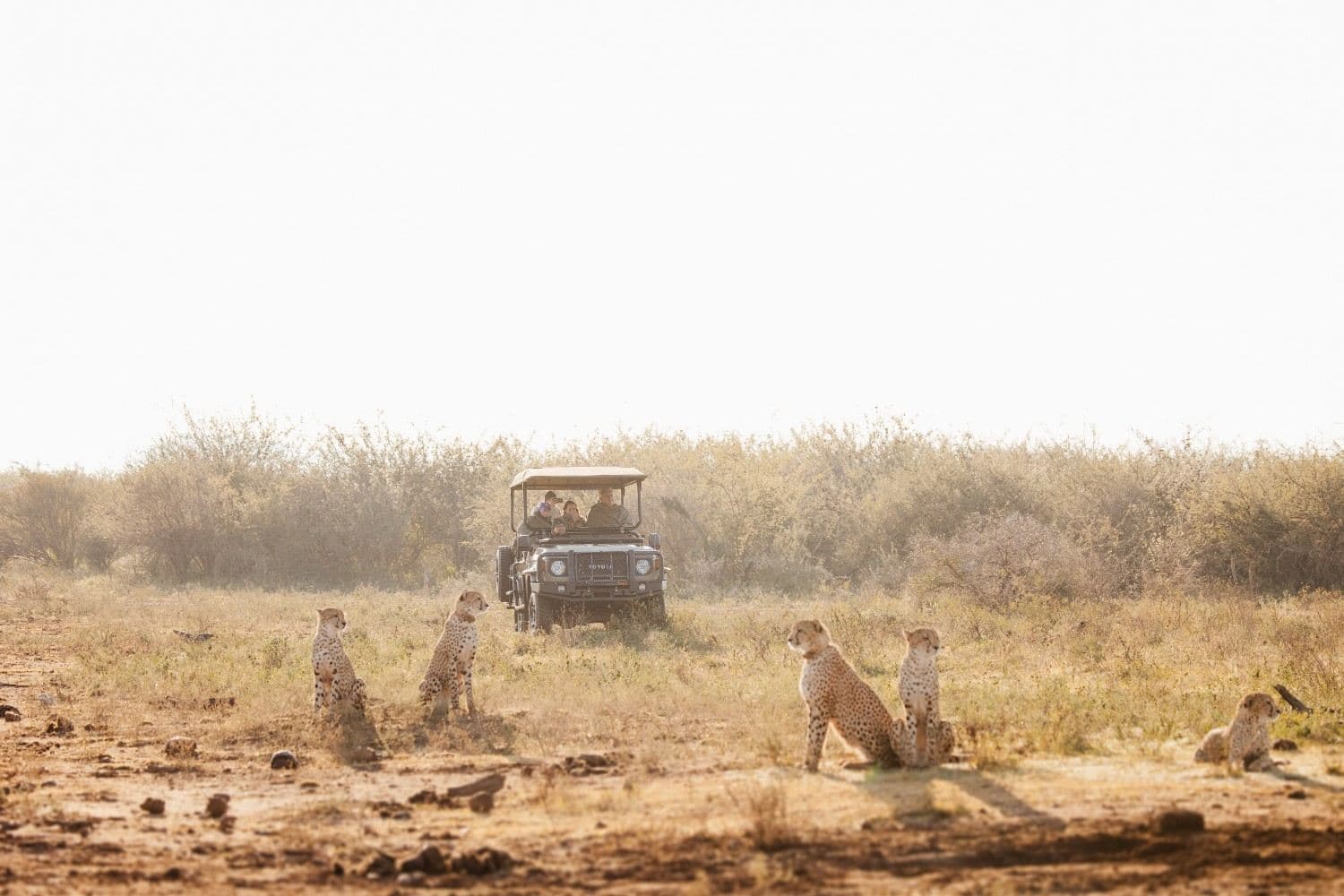 Game Drives