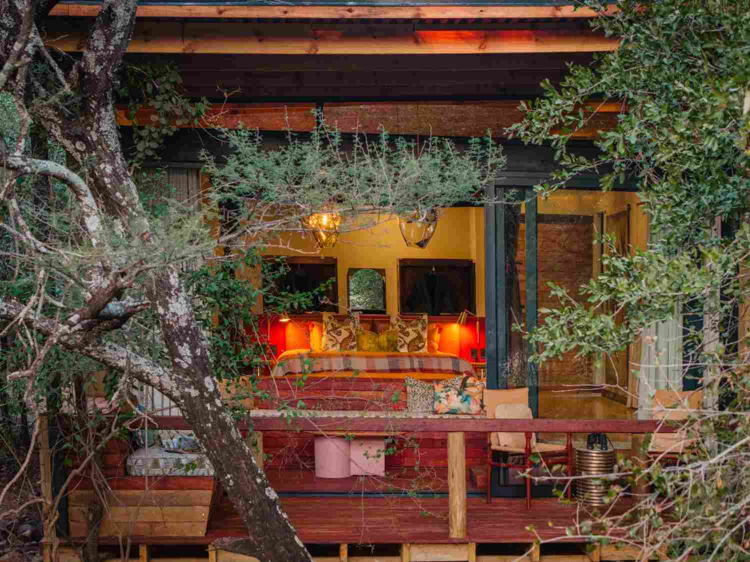 safari suites