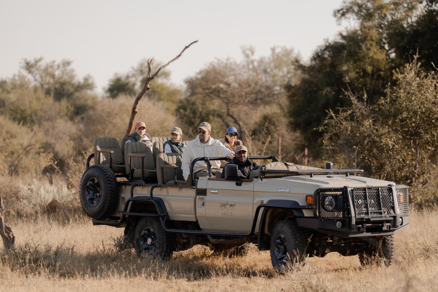 Why Madikwe Is One of the Best Destinations for a First Safari in South Africa