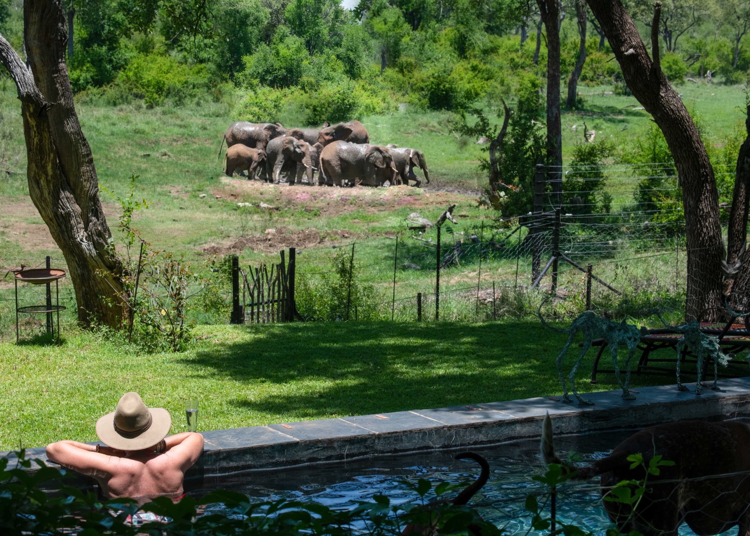 Jaci's Madikwe House