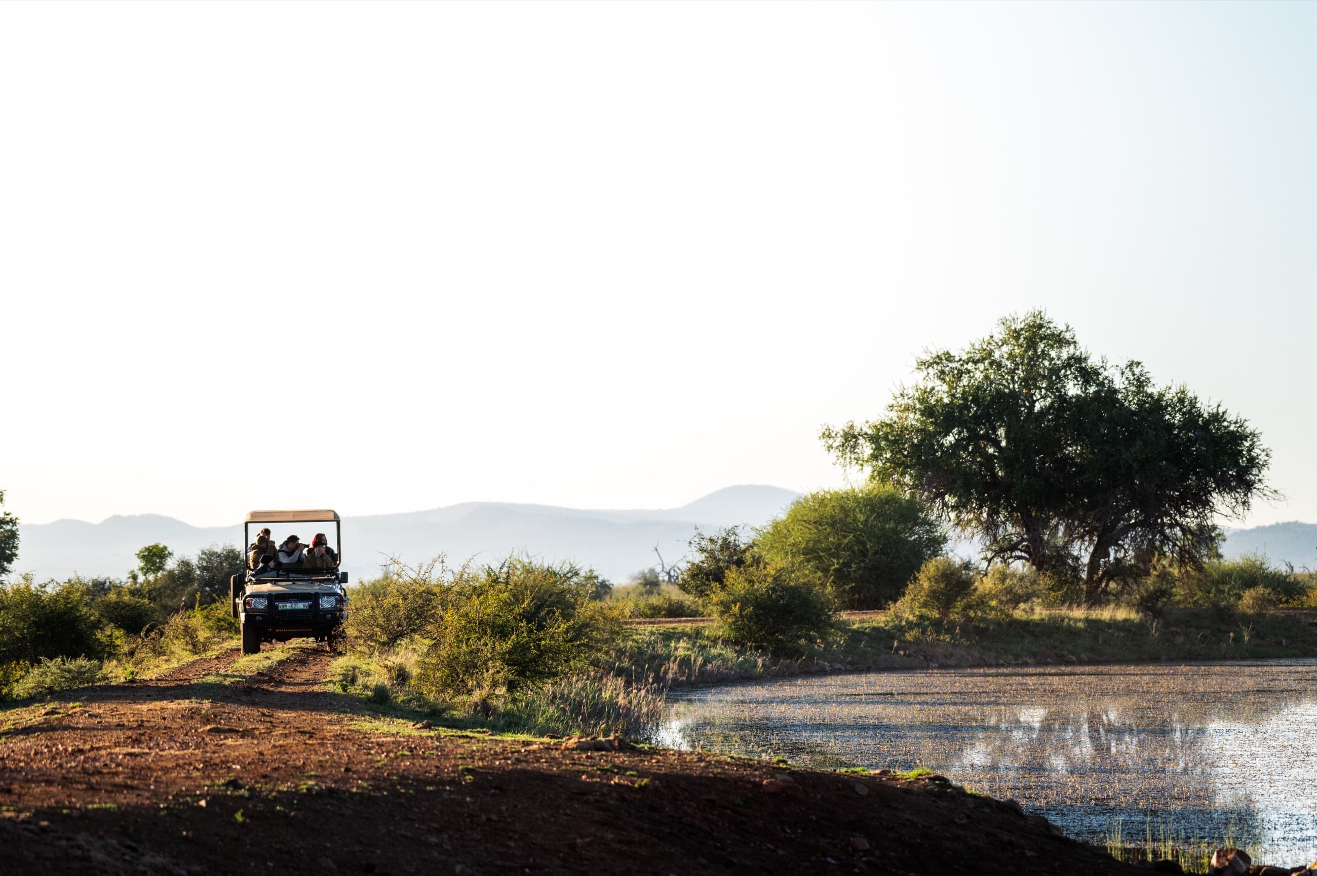 Safari & Wildlife