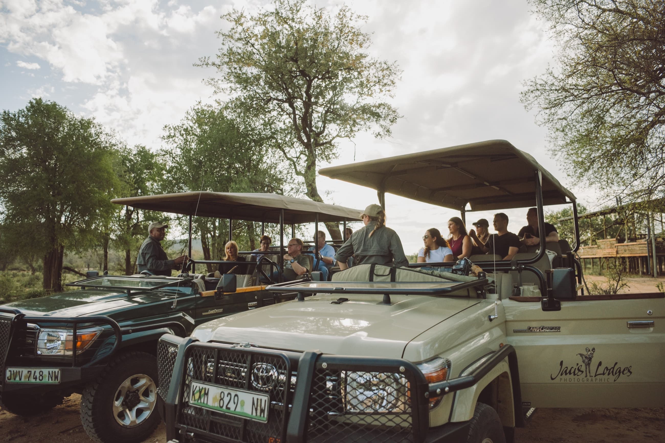 Safari & Wildlife