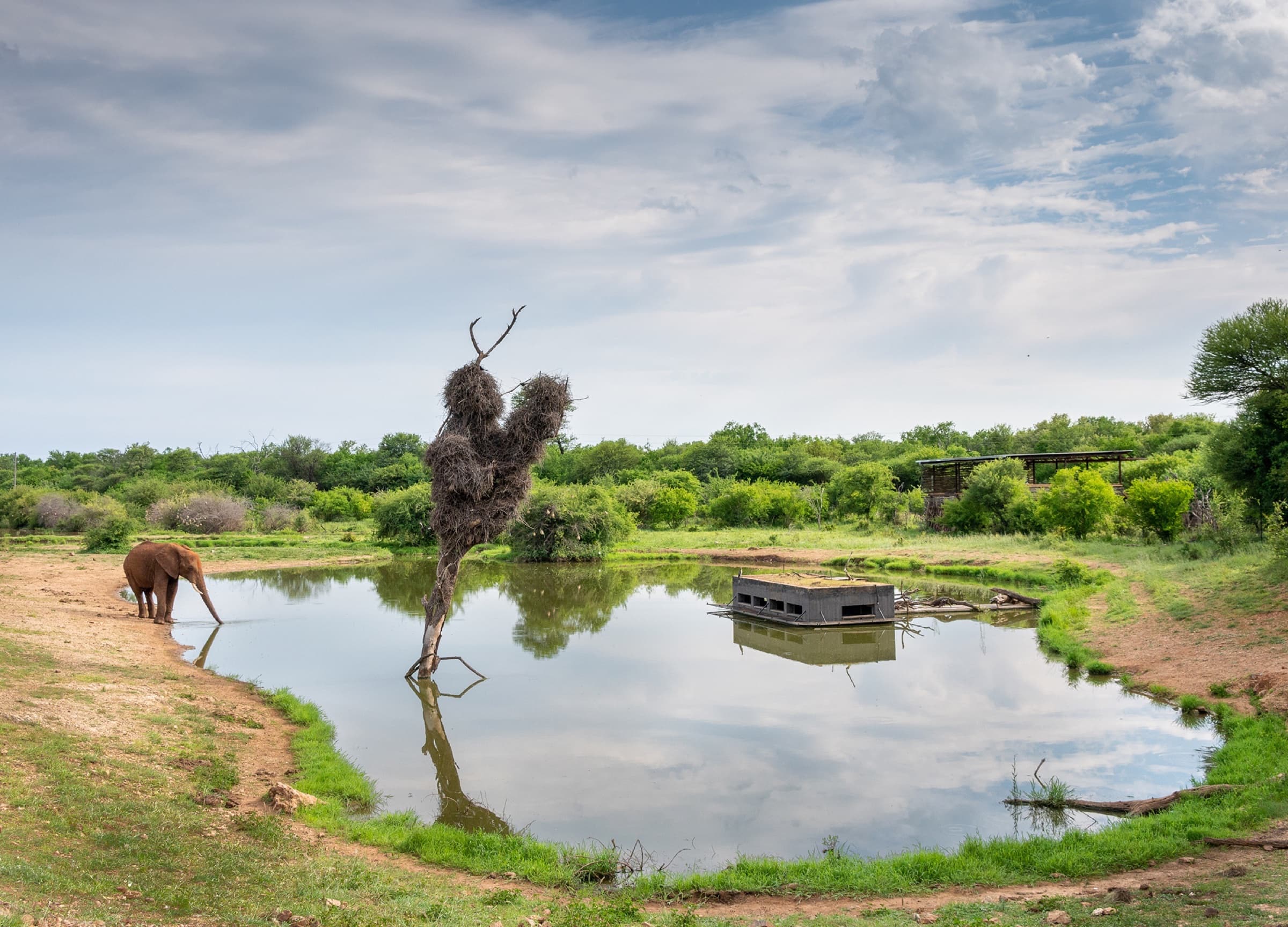 Photographic Safaris