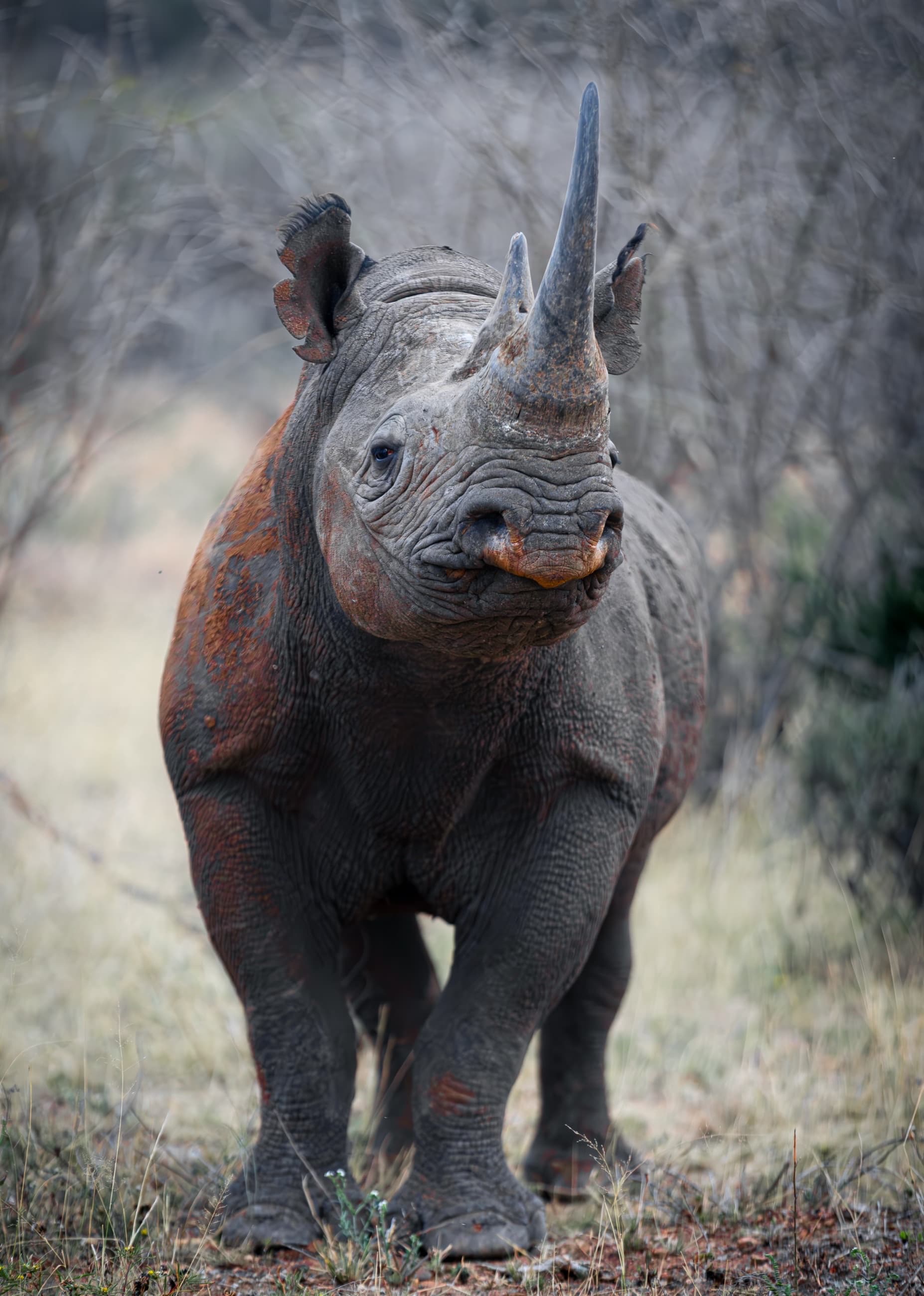 The Big Five