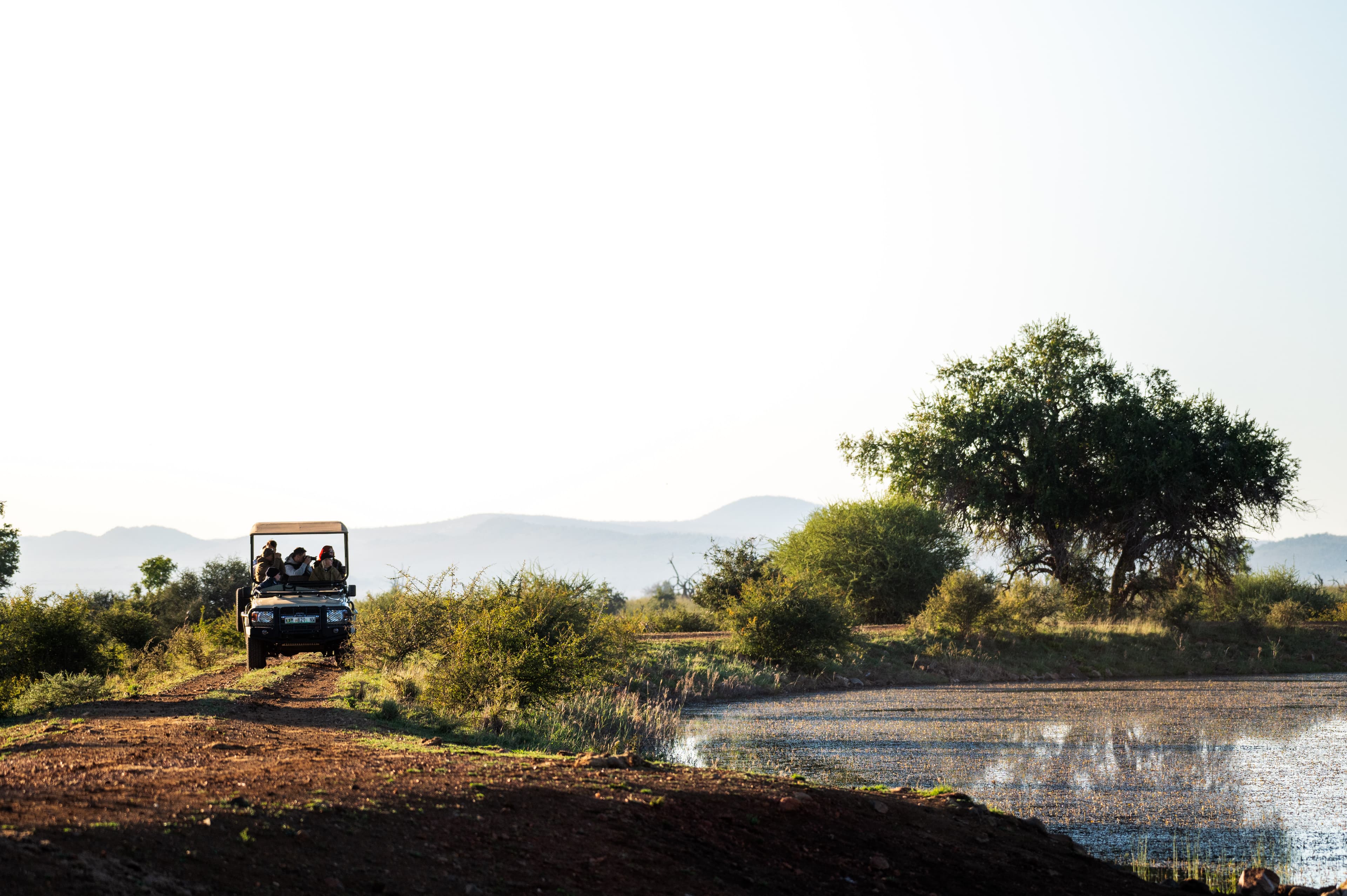 Leopards in Madikwe: Safari Lodge Guide