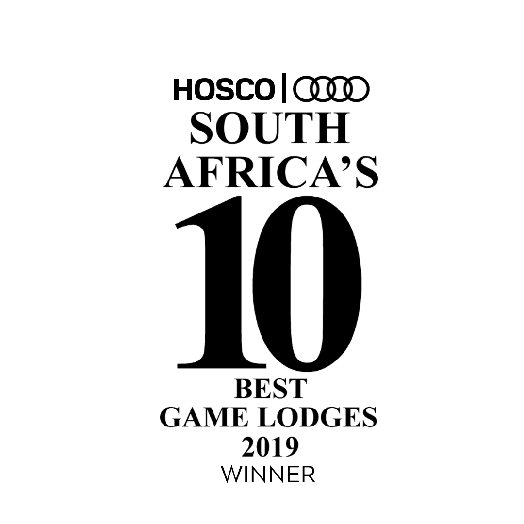 HOSCO Audi 2019