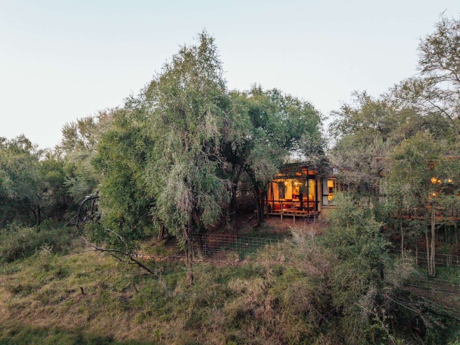 Immersed in the Bush