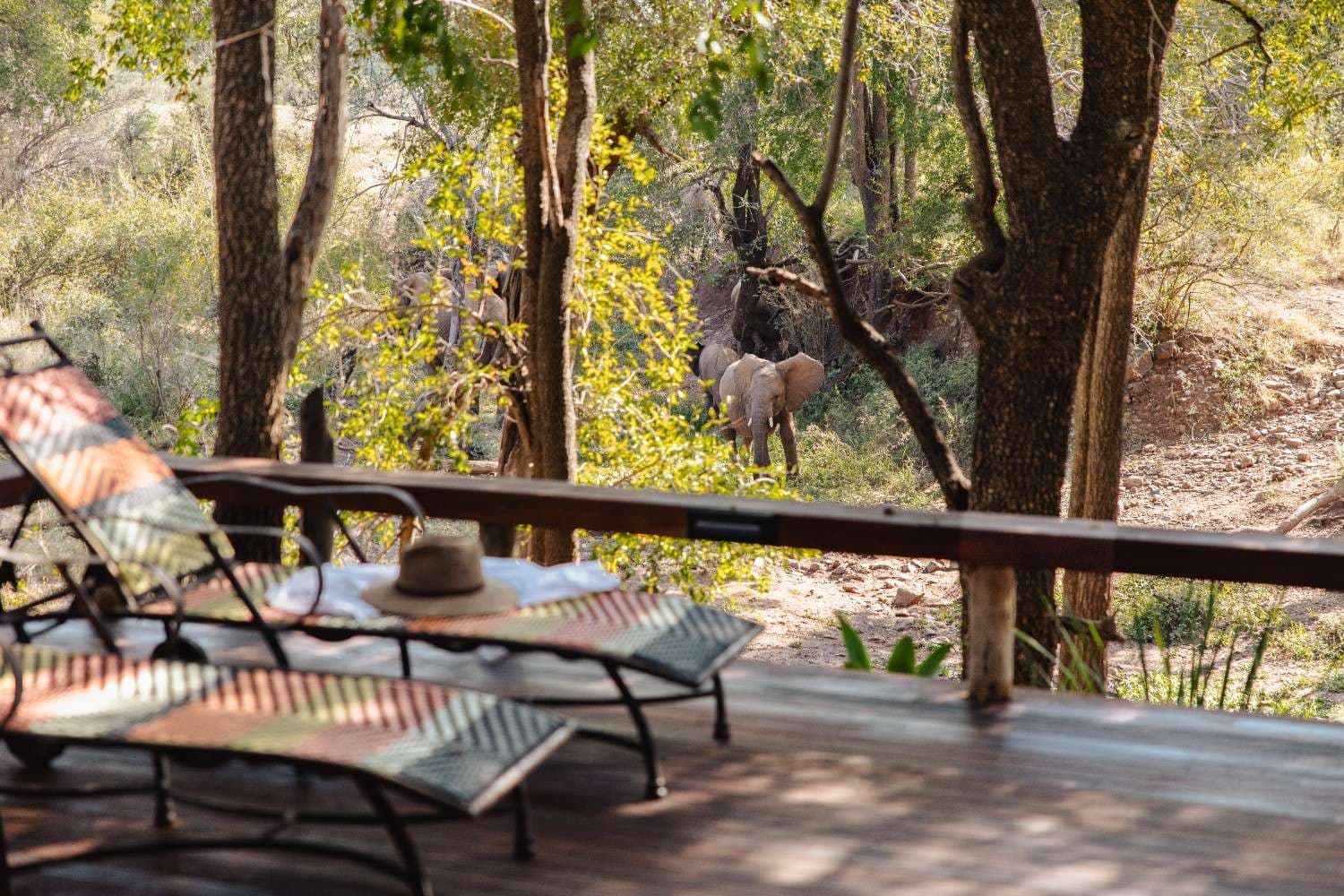 Ready to Experience Nare Villa?